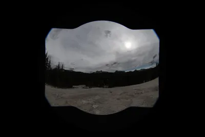 DSC_4449 (Large).JPG